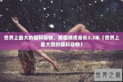 世界上最大的猫科动物，美国狮虎身长3.3米（世界上最大型的猫科动物）