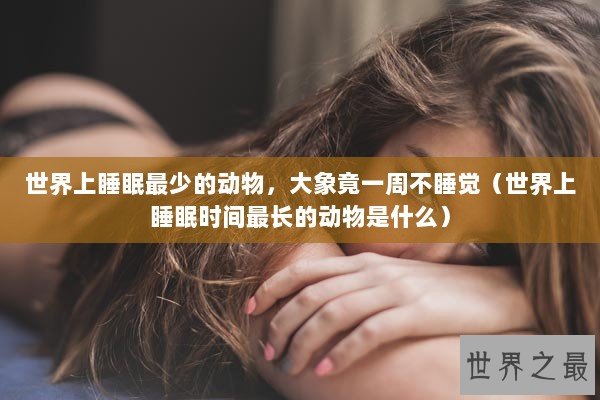 世界上睡眠最少的动物，大象竟一周不睡觉（世界上睡眠时间最长的动物是什么）