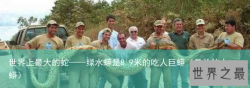 世界上最大的蛇——绿水蟒是8.9米的吃人巨蟒（最长的水蟒）