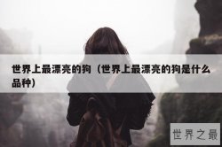 世界上最漂亮的狗（世界上最漂亮的狗是什么品种）