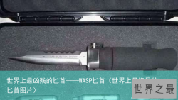 世界上最凶残的匕首——WASP匕首（世界上最诡异的匕首图片）