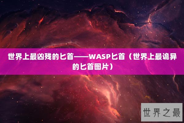 世界上最凶残的匕首——WASP匕首（世界上最诡异的匕首图片）