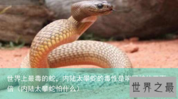 世界上最毒的蛇，内陆太攀蛇的毒性是响尾蛇的三百倍（内陆太攀蛇怕什么）