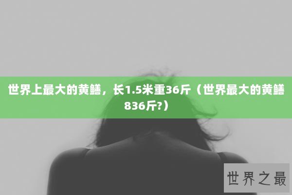 世界上最大的黄鳝，长1.5米重36斤（世界最大的黄鳝836斤?）