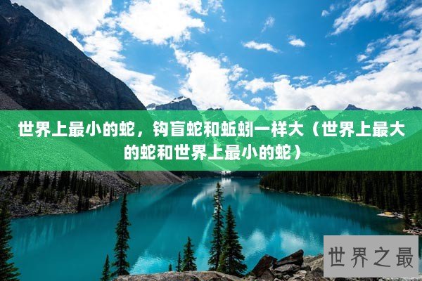 世界上最小的蛇，钩盲蛇和蚯蚓一样大（世界上最大的蛇和世界上最小的蛇）