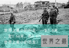世界上最小的坦克——长1.6米，宽0.66米，高0.67米（世界上最小的恐龙）