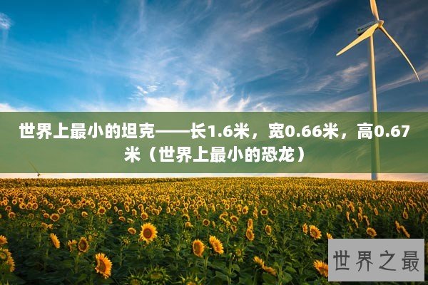 世界上最小的坦克——长1.6米，宽0.66米，高0.67米（世界上最小的恐龙）