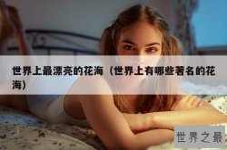世界上最漂亮的花海（世界上有哪些著名的花海）