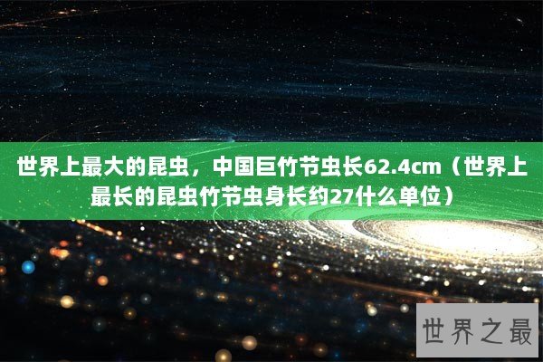 世界上最大的昆虫，中国巨竹节虫长62.4cm（世界上最长的昆虫竹节虫身长约27什么单位）