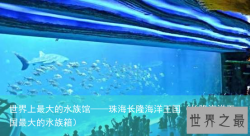 世界上最大的水族馆——珠海长隆海洋王国（长隆海洋王国最大的水族箱）