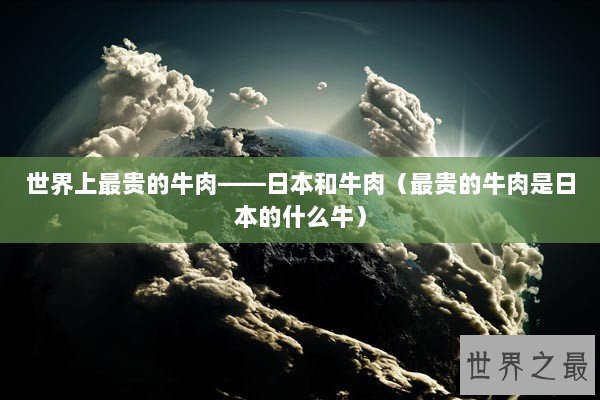 世界上最贵的牛肉——日本和牛肉（最贵的牛肉是日本的什么牛）