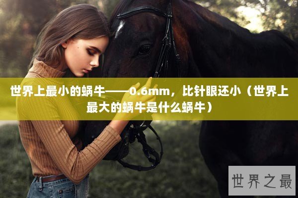 世界上最小的蜗牛——0.6mm，比针眼还小（世界上最大的蜗牛是什么蜗牛）