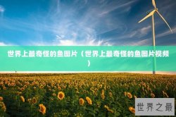 世界上最奇怪的鱼图片（世界上最奇怪的鱼图片视频）