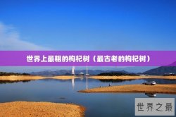 世界上最粗的枸杞树（最古老的枸杞树）