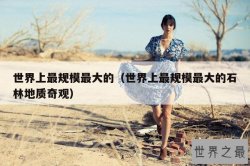 世界上最规模最大的（世界上最规模最大的石林地质奇观）