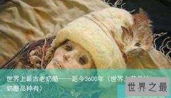 世界上最古老奶酪——距今3600年（世界上著名的奶酪品种有）