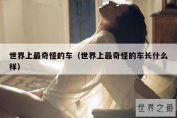 世界上最奇怪的车（世界上最奇怪的车长什么样）