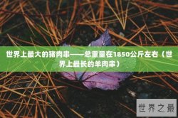 世界上最大的猪肉串——总重量在1850公斤左右（世界上最长的羊肉串）