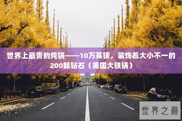 世界上最贵的炖锅——10万英镑，装饰着大小不一的200颗钻石（美国大铁锅）