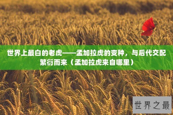 世界上最白的老虎——孟加拉虎的变种，与后代交配繁衍而来（孟加拉虎来自哪里）