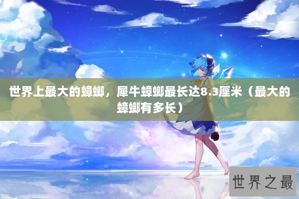 世界上最大的蟑螂，犀牛蟑螂最长达8.3厘米（最大的蟑螂有多长）