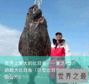 世界上最大的比目鱼——重达468斤的超大比目鱼（巨型比目鱼200—300公斤）