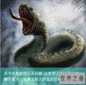 太平洋底惊现百米巨蟒 比世界上最大的巨森蚺还要大（世界上最大的远古巨蟒）