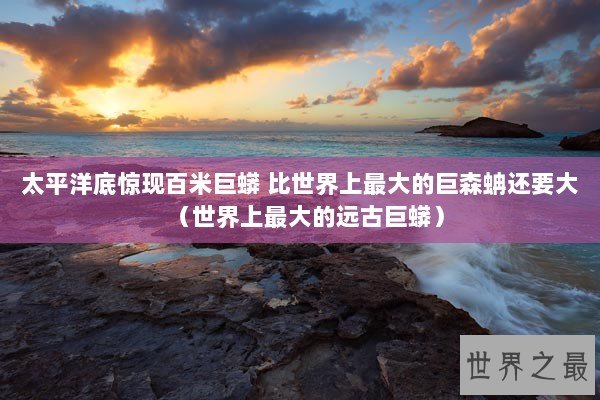 太平洋底惊现百米巨蟒 比世界上最大的巨森蚺还要大（世界上最大的远古巨蟒）