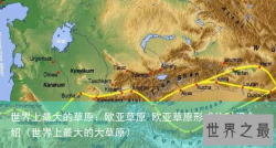 世界上最大的草原：欧亚草原 欧亚草原形成的时间介绍（世界上最大的大草原）