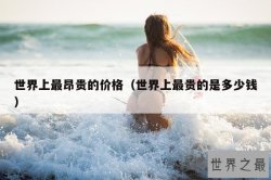 世界上最昂贵的价格（世界上最贵的是多少钱）