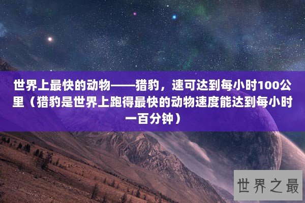 世界上最快的动物——猎豹，速可达到每小时100公里（猎豹是世界上跑得最快的动物速度能达到每小时一百分钟）