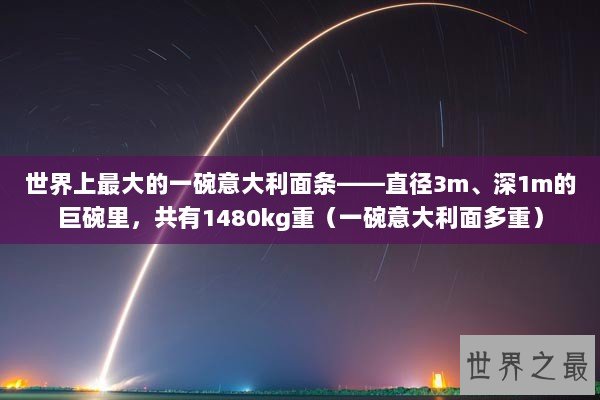 世界上最大的一碗意大利面条——直径3m、深1m的巨碗里，共有1480kg重（一碗意大利面多重）