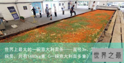 世界上最大的一碗意大利面条——直径3m、深1m的巨碗里，共有1480kg重（一碗意大利面多重）