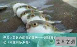 世界上最致命最贵的毒药——河豚毒素一公斤14亿（河豚有多少毒）