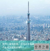 世界上最高的塔，日本东京塔高634米（日本东京最高的塔）