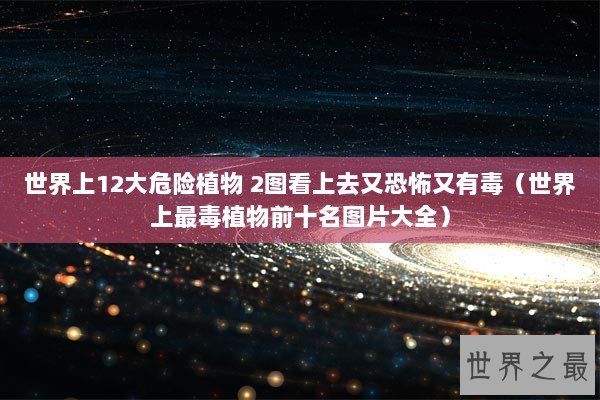 世界上12大危险植物 2图看上去又恐怖又有毒（世界上最毒植物前十名图片大全）