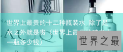 世界上最贵的十二种瓶装水 除了是水之外就是贵（世界上最贵的矿泉水一瓶多少钱）