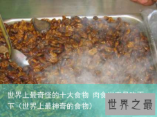 世界上最奇怪的十大食物 肉食当真是吃不下（世界上最神奇的食物）