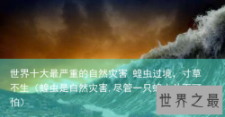 世界十大最严重的自然灾害 蝗虫过境，寸草不生（蝗虫是自然灾害,尽管一只蝗虫并不可怕）