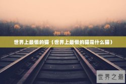 世界上最懒的猫（世界上最懒的猫是什么猫）