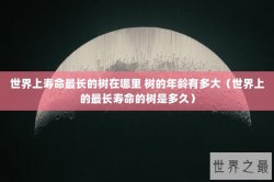 世界上寿命最长的树在哪里 树的年龄有多大（世界上的最长寿命的树是多久）