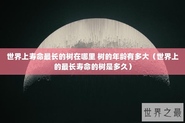 世界上寿命最长的树在哪里 树的年龄有多大（世界上的最长寿命的树是多久）