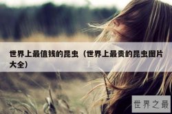 世界上最值钱的昆虫（世界上最贵的昆虫图片大全）