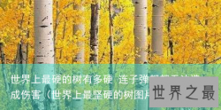 世界上最硬的树有多硬 连子弹都都无法造成伤害（世界上最坚硬的树图片）