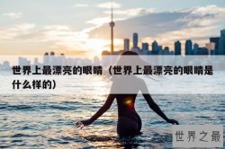 世界上最漂亮的眼睛（世界上最漂亮的眼睛是什么样的）