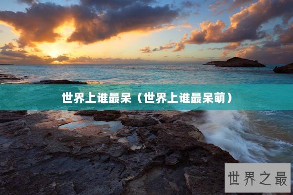 世界上谁最呆（世界上谁最呆萌）