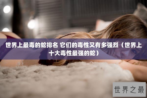 世界上最毒的蛇排名 它们的毒性又有多强烈（世界上十大毒性最强的蛇）