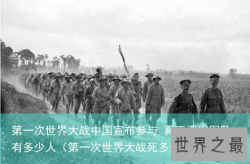 第一次世界大战中国宣布参与 真正派出军队有多少人（第一次世界大战死多少人）