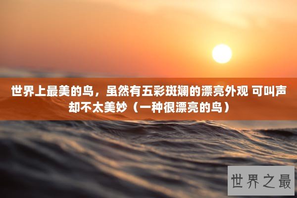 世界上最美的鸟,虽然有五彩斑斓的漂亮外观 可叫声却不太美妙(一种很漂亮的鸟) 世界上最美的鸟,虽然有五彩斑斓的漂亮外观 可叫声却不太美妙(一种很漂亮的鸟)