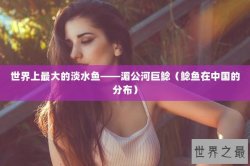 世界上最大的淡水鱼——湄公河巨鲶（鲶鱼在中国的分布）